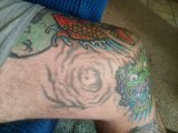 IMG_20250526_072905116.jpg